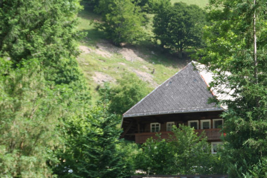 Hotel Gasthaus Hirschen Im Hochschwarzwald Todtnau Nahe Feldberg Exterior foto