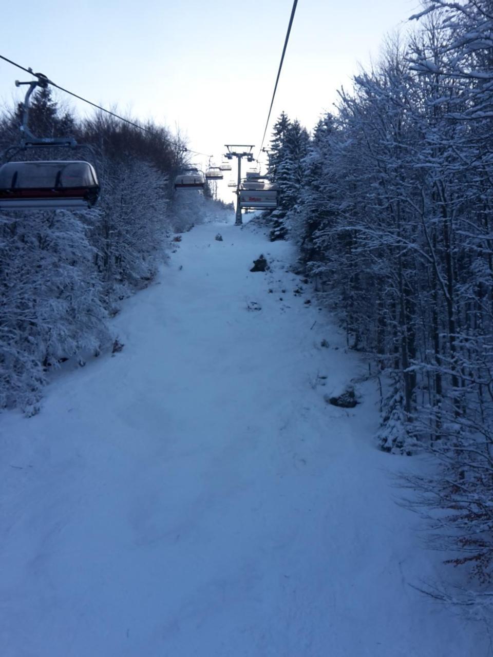 Hotel Gasthaus Hirschen Im Hochschwarzwald Todtnau Nahe Feldberg Exterior foto