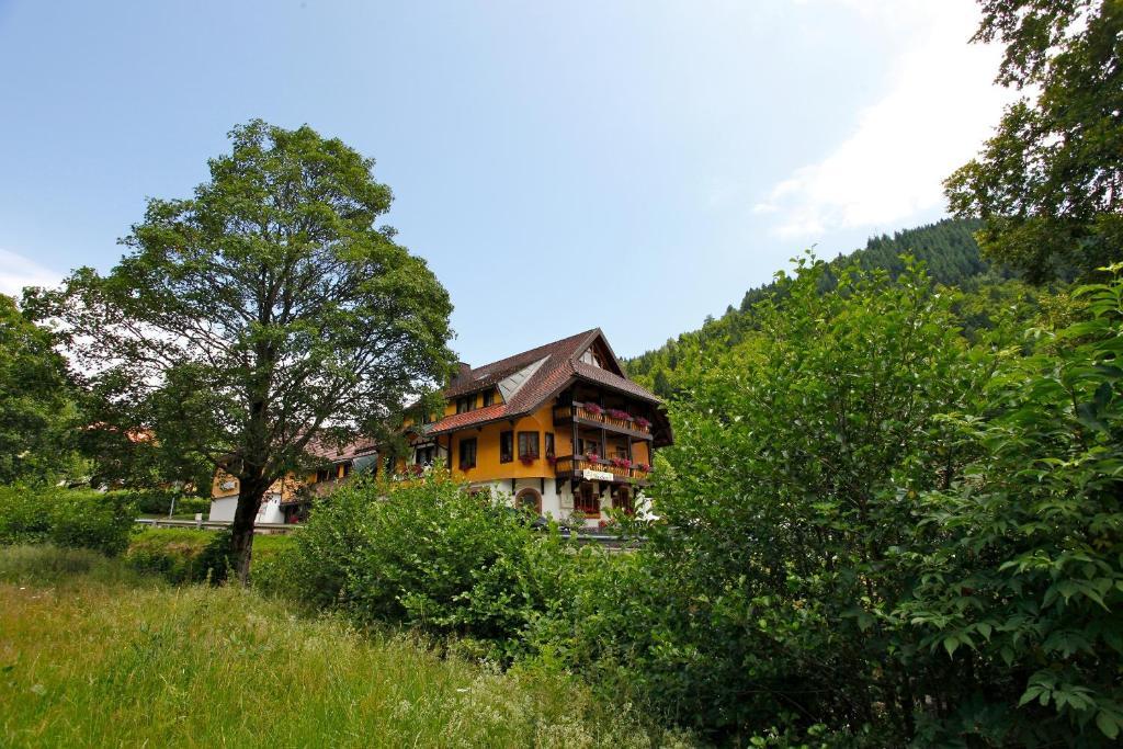 Hotel Gasthaus Hirschen Im Hochschwarzwald Todtnau Nahe Feldberg Exterior foto